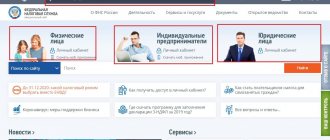 Выбор региона и лица на сайте ФНС