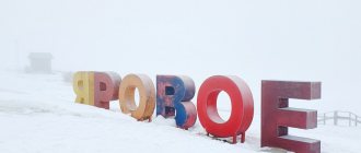 Яровое.