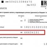 Filling out the declaration