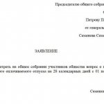 Заявление на отпуск директора